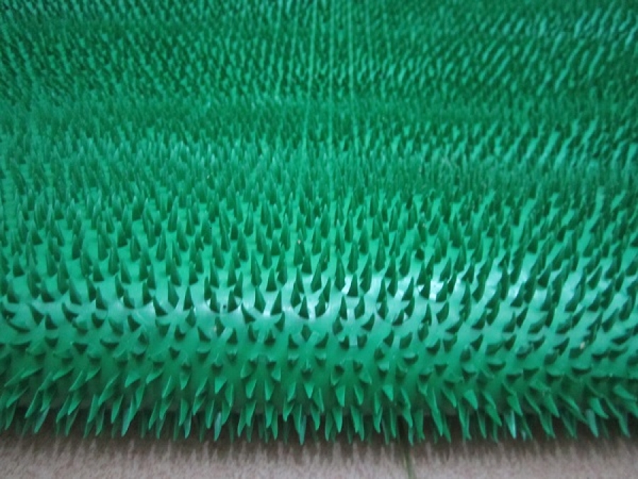 thảm trải sàn Linh Dung